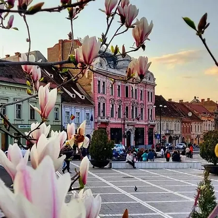 Luxurious & Spacious In The Heart Of Brasov